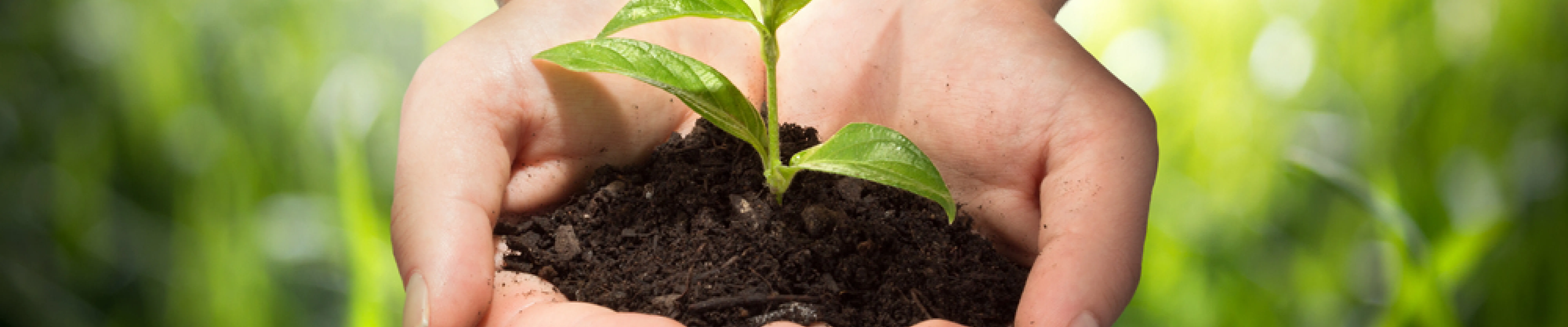 carpet cleaning in new jersey, carpet cleaning in new jersey, carpet cleaning new jersey, carpet cleaners in new jersey, carpet cleaners in new jersey, commercial carpet cleaning, commercial carpet cleaning in new jersey, new jersey rug cleaners, rug cleaning services in new jersey, same day carpet cleaning, same day rug cleaning